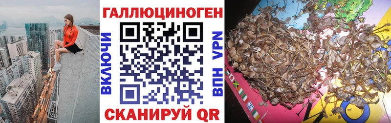 Псилоцибиновые грибы GOLDEN TEACHER Лукоянов