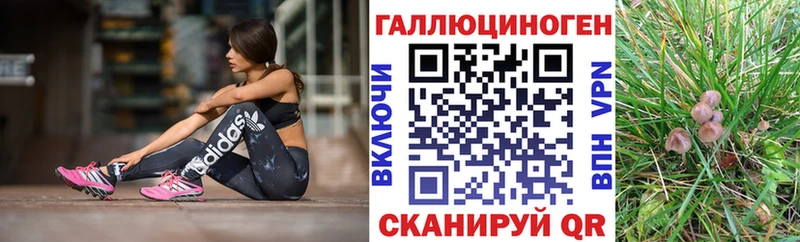 Псилоцибиновые грибы Cubensis  кракен маркетплейс  Лукоянов  наркотики 